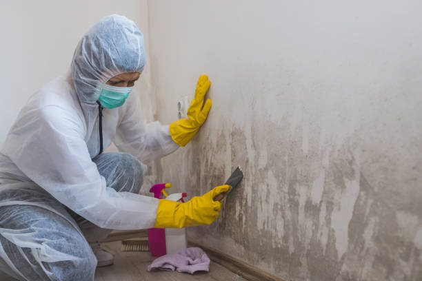 Best Residential Mold Removal  in Monroe, GA