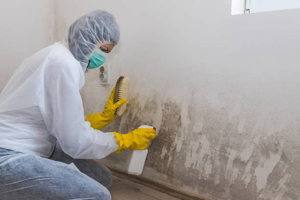 Best Crawl Space Mold Removal  in Monroe, GA