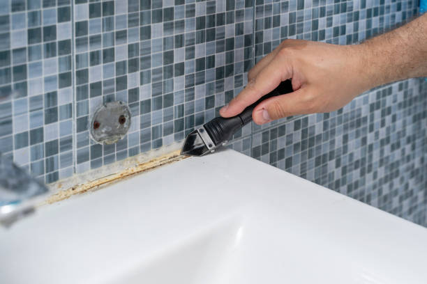 Mold Testing and Removal in Monroe, GA