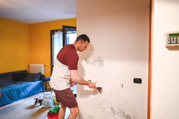 Attic Mold Removal in Monroe, GA